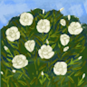 Meet your Posher, Giuliana